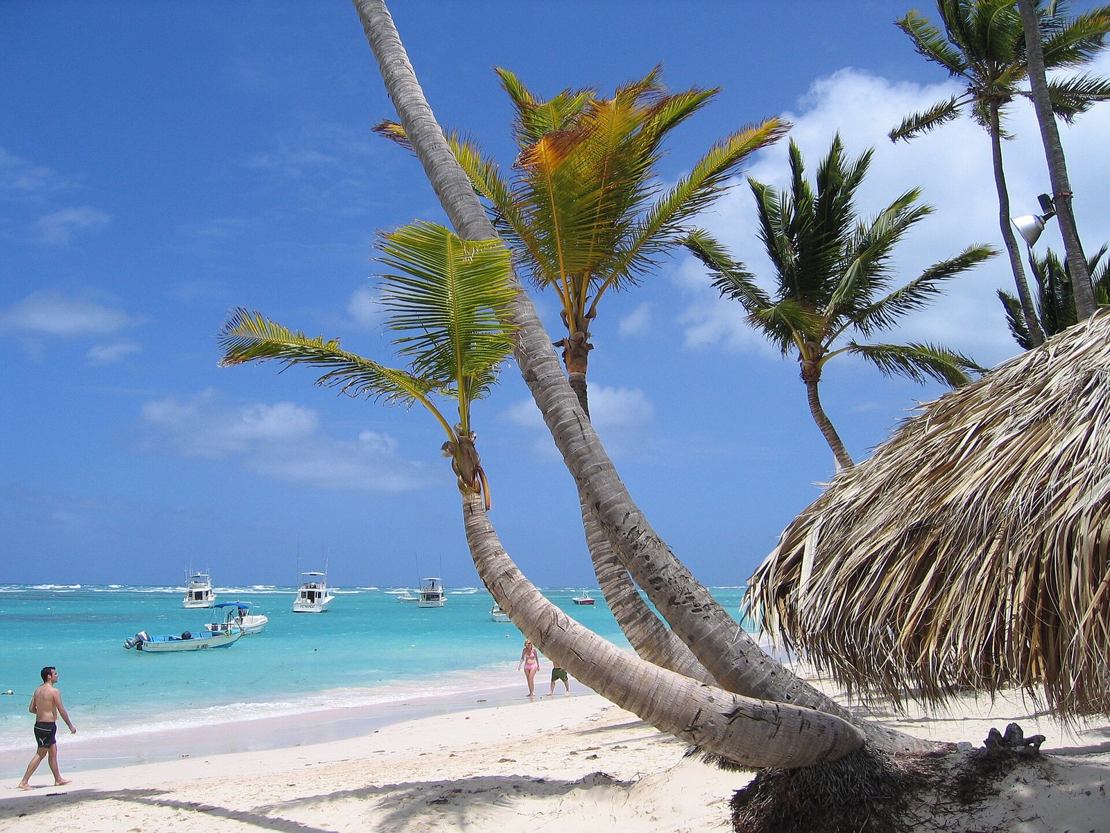 Oferta de viaje a Punta Cana todo incluido con vuelos desde Ecuador